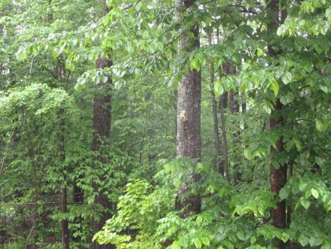 Lot 8 Northwood Estates Sebago ME 04029