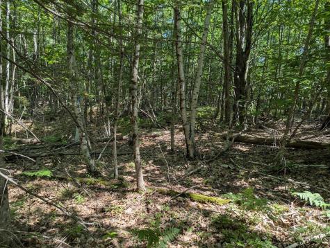 0 Beech Ridge Road Scarborough ME 04074