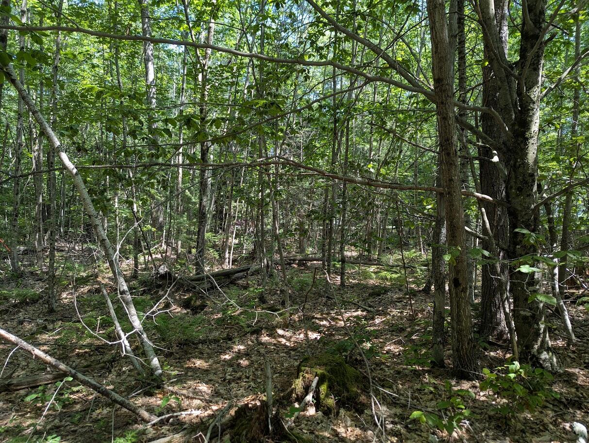 0 Beech Ridge Road Scarborough ME 04074