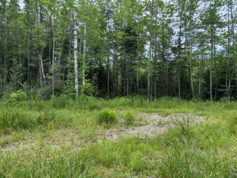 X Cooper Highway Cooper ME 04657