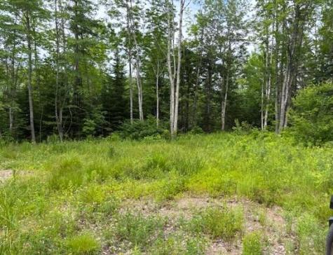 X Cooper Highway Cooper ME 04657