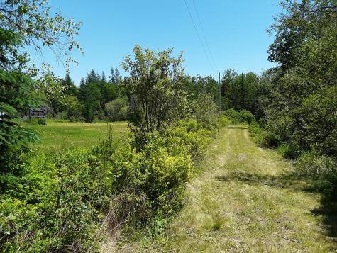 191 Jay Carter Road Blue Hill ME 04614