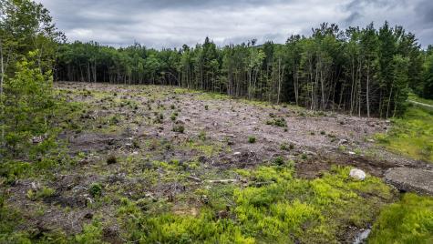 LOT15-22B1 Taras Way Bethel ME 04217