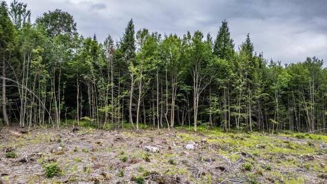 LOT15-22B1 Taras Way Bethel ME 04217