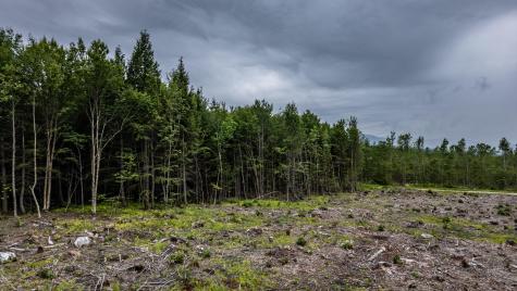 LOT15-22B1 Taras Way Bethel ME 04217