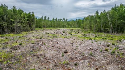 LOT15-22B1 Taras Way Bethel ME 04217