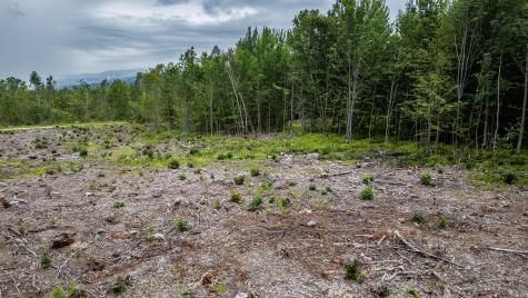 LOT15-22B1 Taras Way Bethel ME 04217