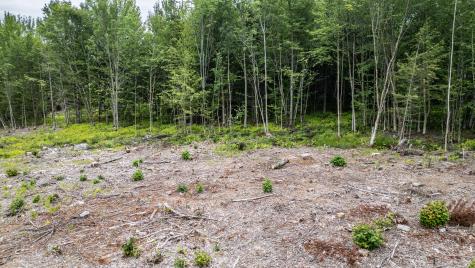 LOT15-22B1 Taras Way Bethel ME 04217