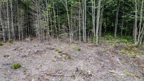 LOT15-22B1 Taras Way Bethel ME 04217