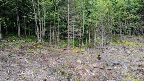 LOT15-22B1 Taras Way Bethel ME 04217