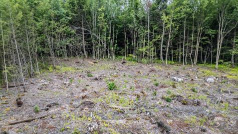 LOT15-22B1 Taras Way Bethel ME 04217