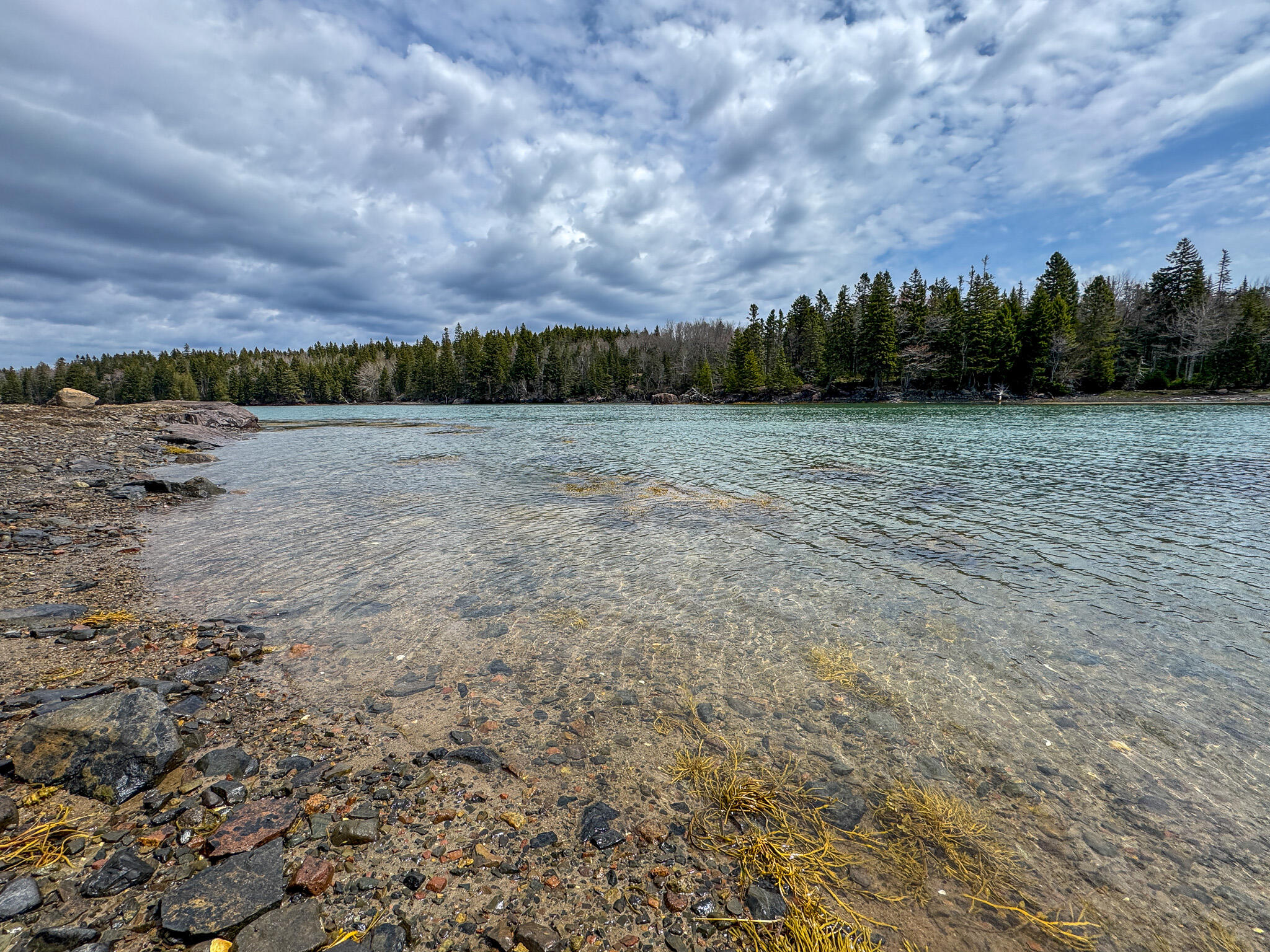 Lot 46 Yoho Head Road Machiasport ME 04655