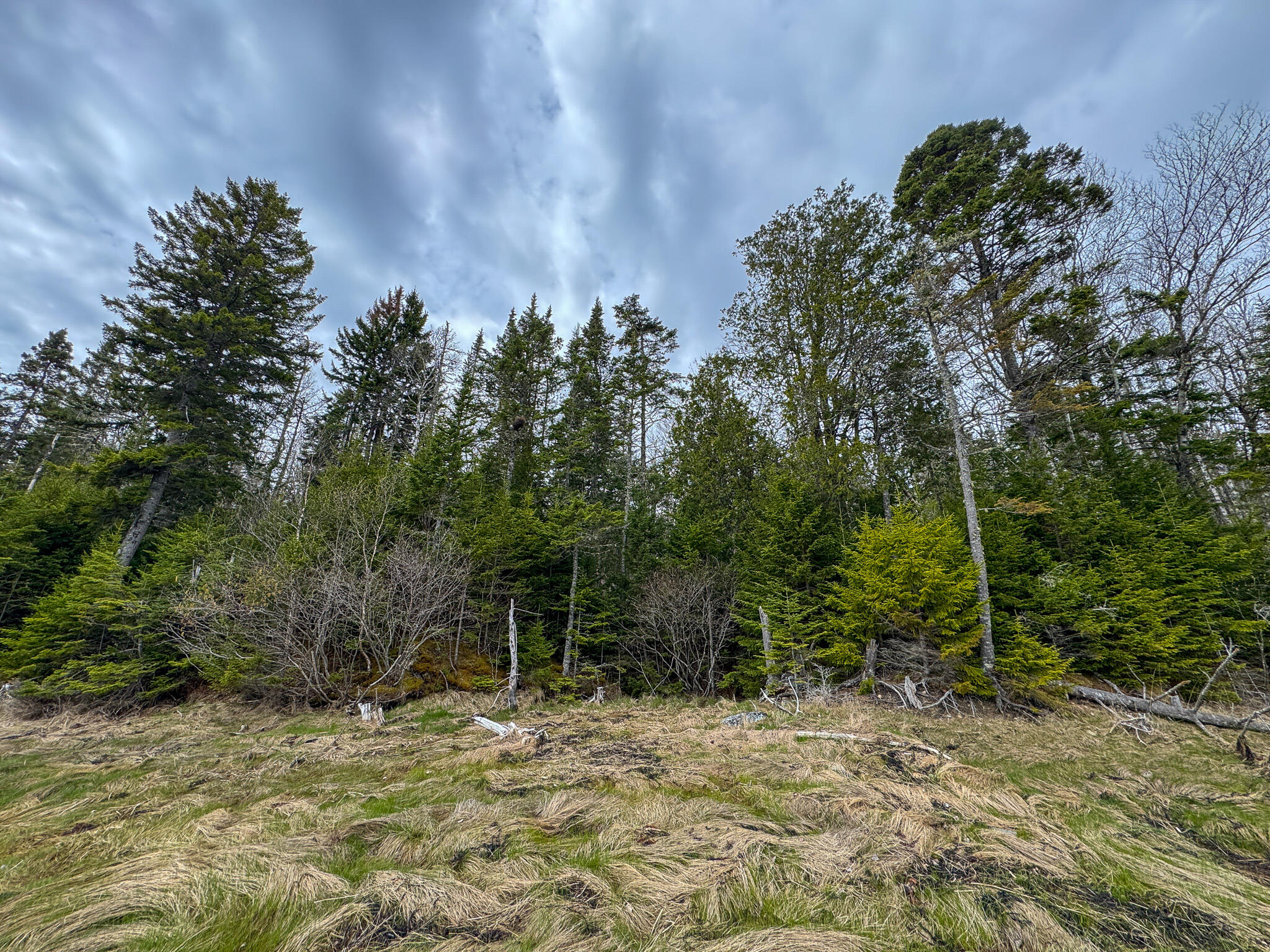 Lot 46 Yoho Head Road Machiasport ME 04655