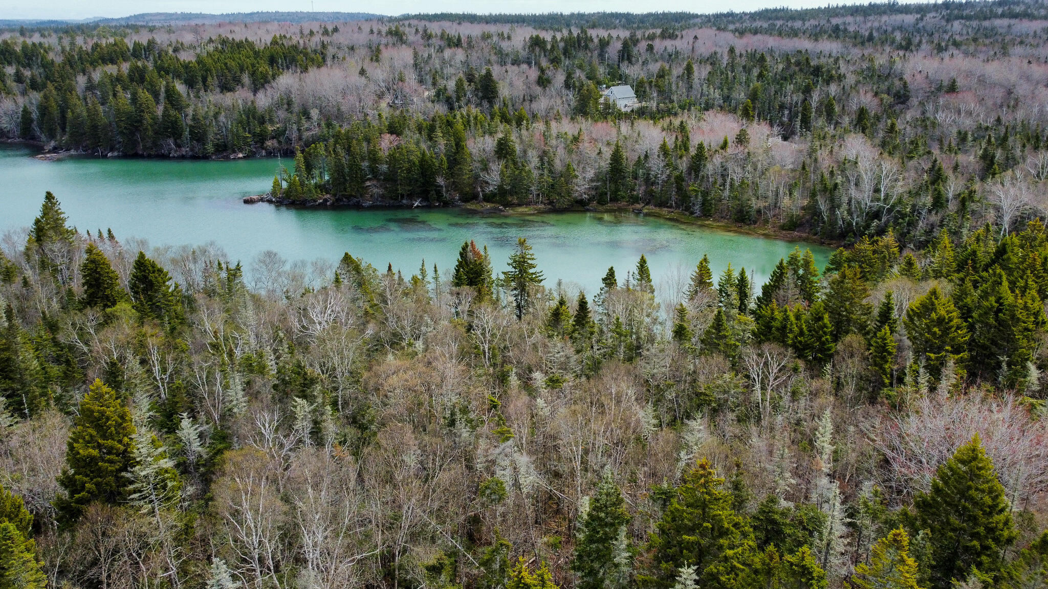 Lot 46 Yoho Head Road Machiasport ME 04655