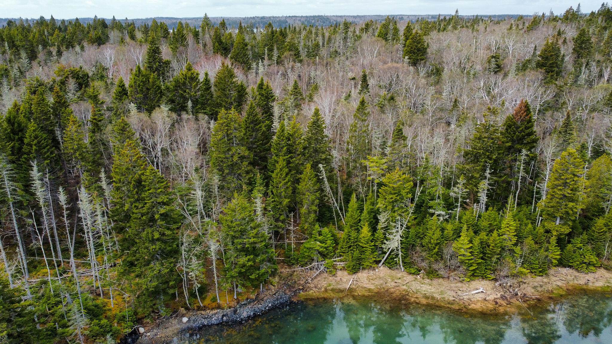 Lot 46 Yoho Head Road Machiasport ME 04655