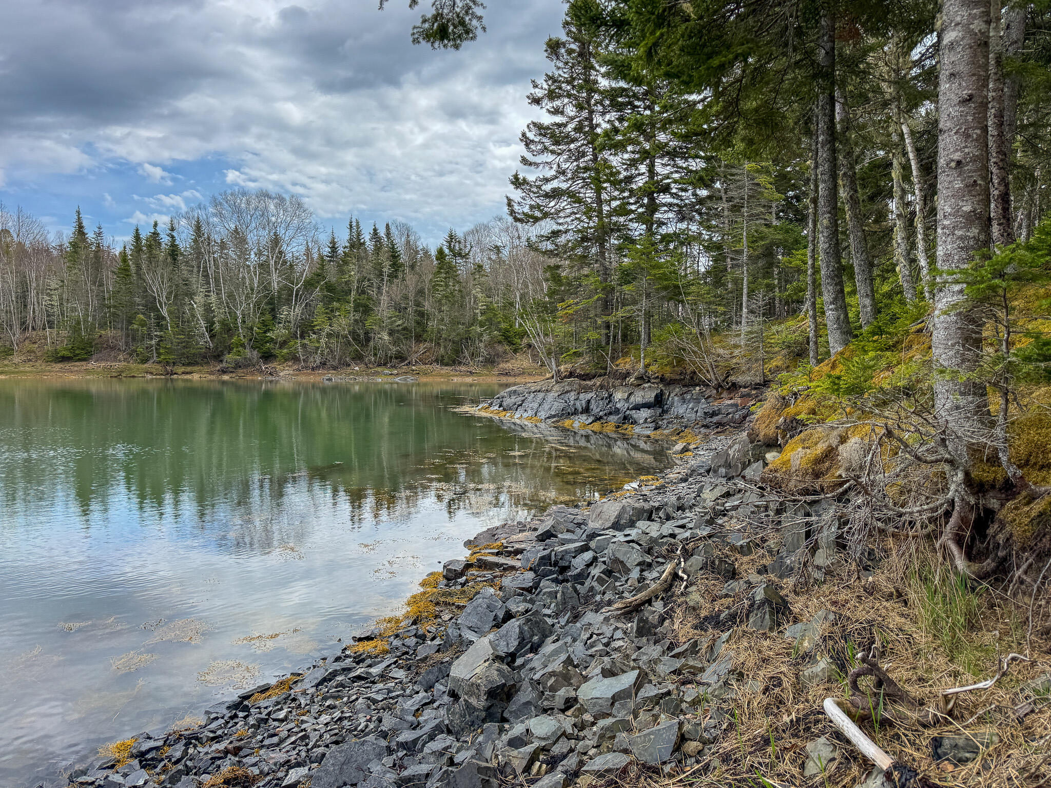 Lot 46 Yoho Head Road Machiasport ME 04655