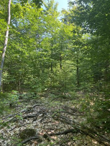 Tbd Hawk Lane Rumford ME 04276