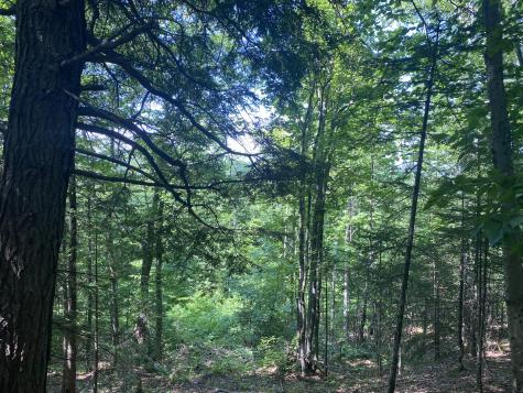 Tbd Hawk Lane Rumford ME 04276