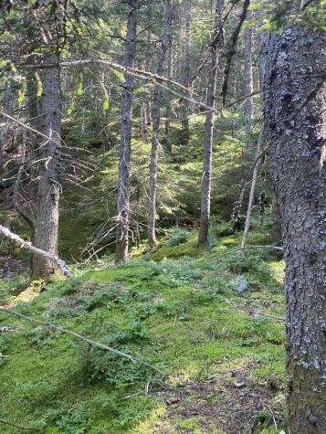 Tbd Hawk Lane Rumford ME 04276