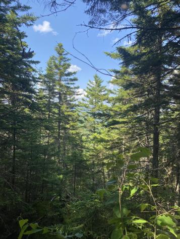 Tbd Hawk Lane Rumford ME 04276