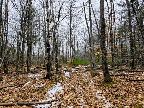 Lot 35 Moose Hill Road Livermore Falls ME 04228