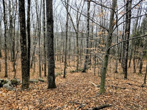 Lot 35 Moose Hill Road Livermore Falls ME 04228