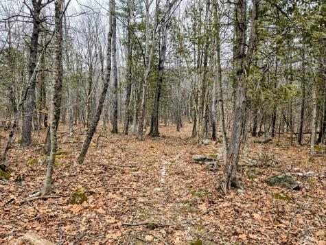 Lot 35 Moose Hill Road Livermore Falls ME 04228