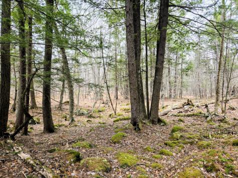 Lot 35 Moose Hill Road Livermore Falls ME 04228