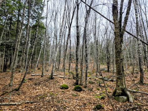 Lot 35 Moose Hill Road Livermore Falls ME 04228