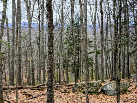 Lot 35 Moose Hill Road Livermore Falls ME 04228