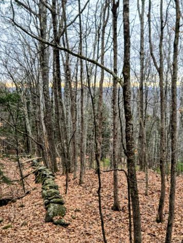 Lot 35 Moose Hill Road Livermore Falls ME 04228