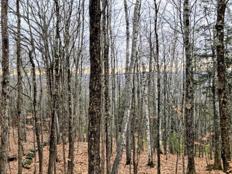 Lot 35 Moose Hill Road Livermore Falls ME 04228