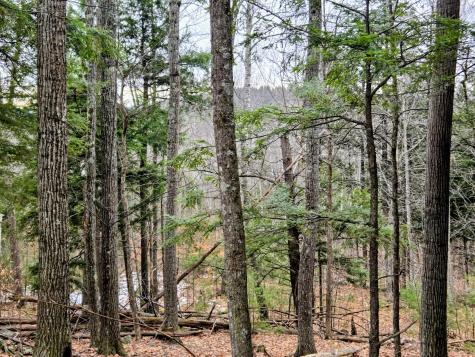 Lot 35 Moose Hill Road Livermore Falls ME 04228