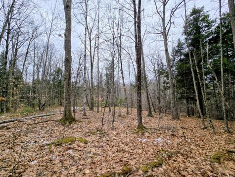 Lot 35 Moose Hill Road Livermore Falls ME 04228