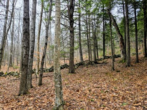 Lot 35 Moose Hill Road Livermore Falls ME 04228