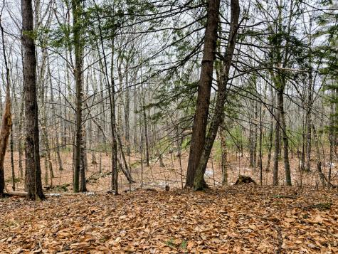 Lot 35 Moose Hill Road Livermore Falls ME 04228