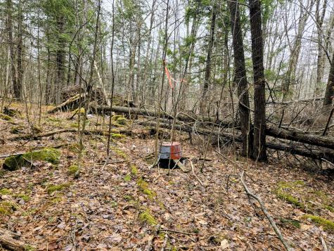 Lot 35 Moose Hill Road Livermore Falls ME 04228