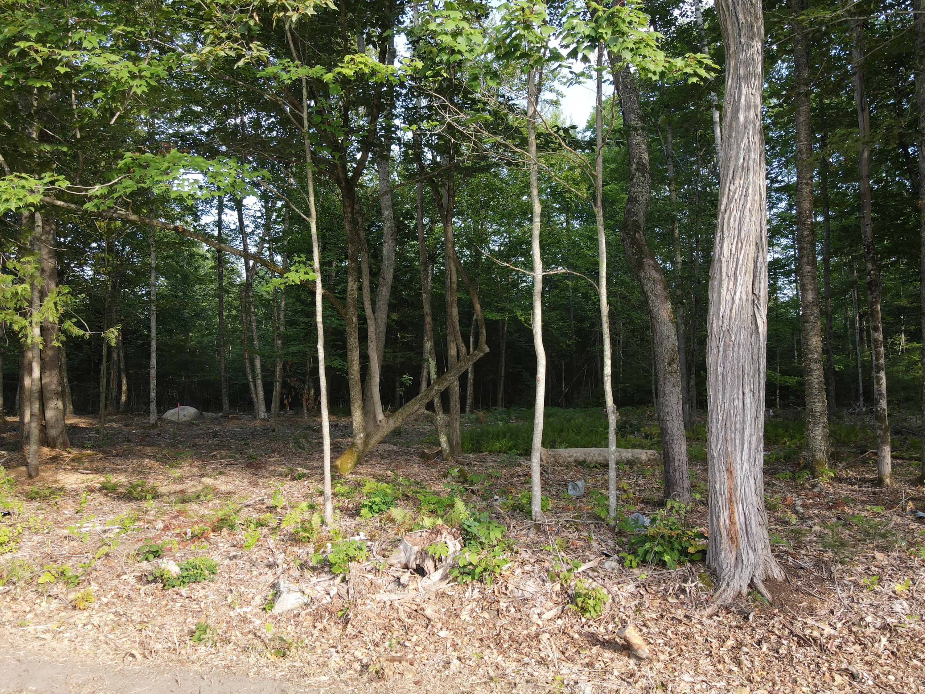 Lot 3 Oak Pond Road Skowhegan ME 04967