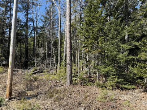 00 Route 176 East Blue Hill Road Blue Hill ME 04614