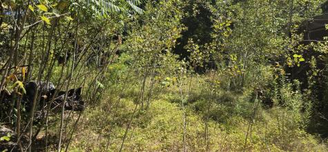 663 Morrill Pond Road Hartland ME 04943