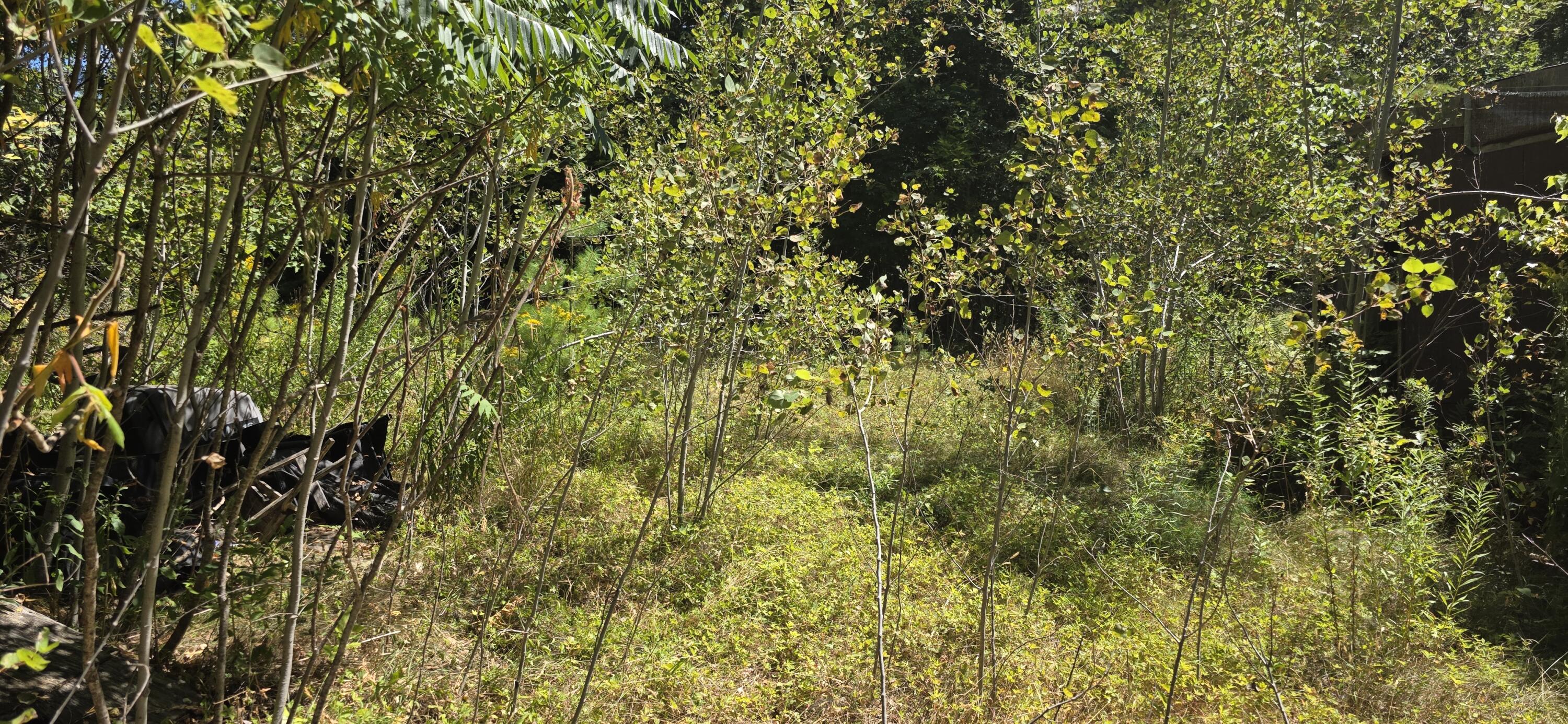 663 Morrill Pond Road Hartland ME 04943