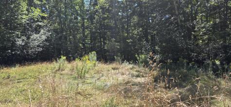 663 Morrill Pond Road Hartland ME 04943