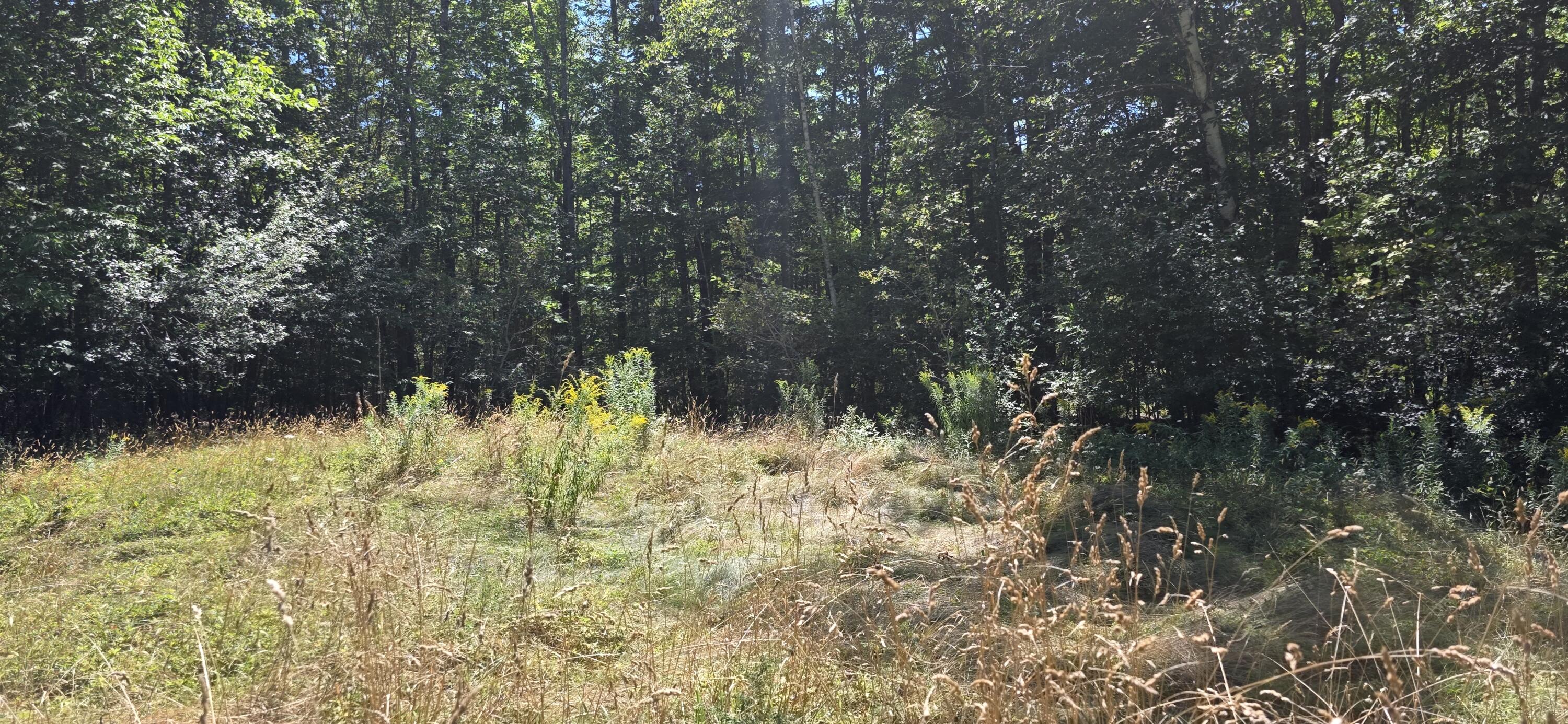 663 Morrill Pond Road Hartland ME 04943