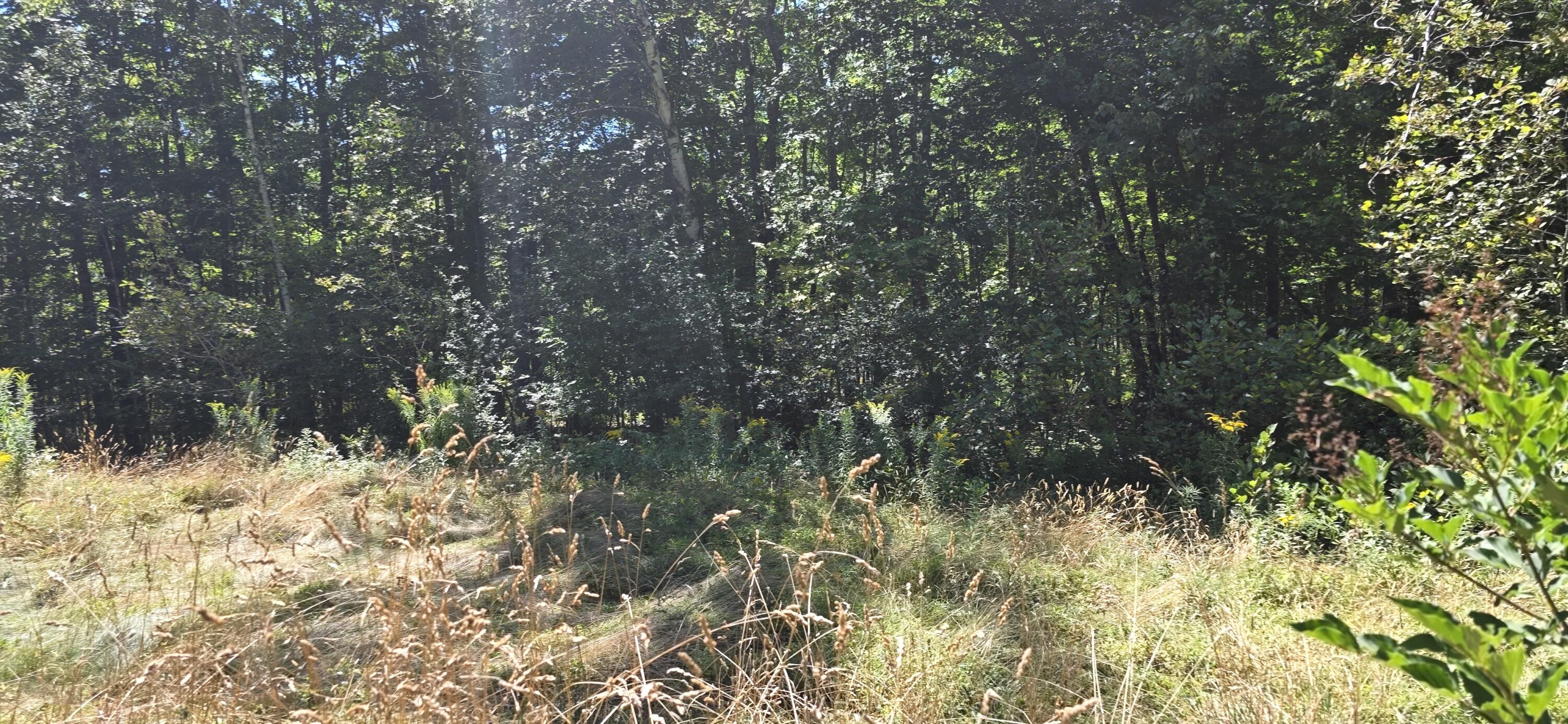 663 Morrill Pond Road Hartland ME 04943