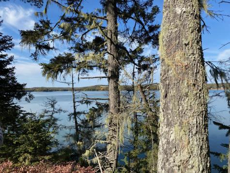 0 S Bay Road Franklin ME 04634