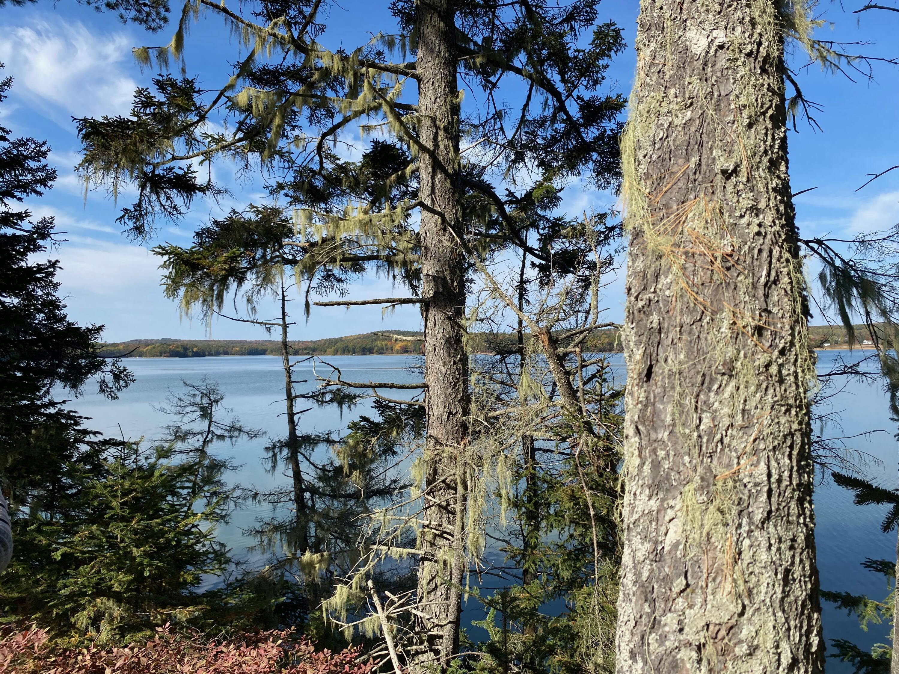 0 S Bay Road Franklin ME 04634