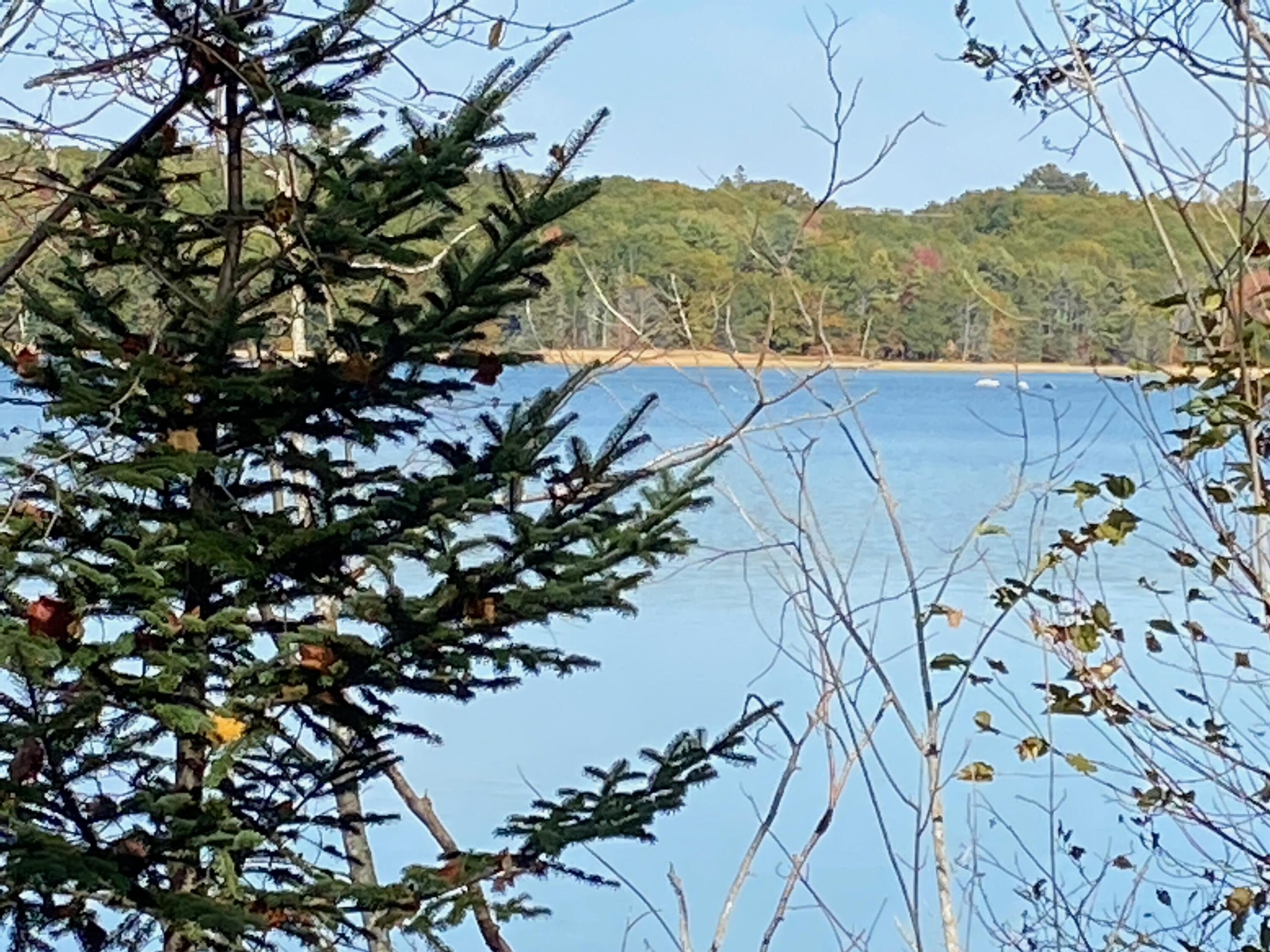 0 S Bay Road Franklin ME 04634