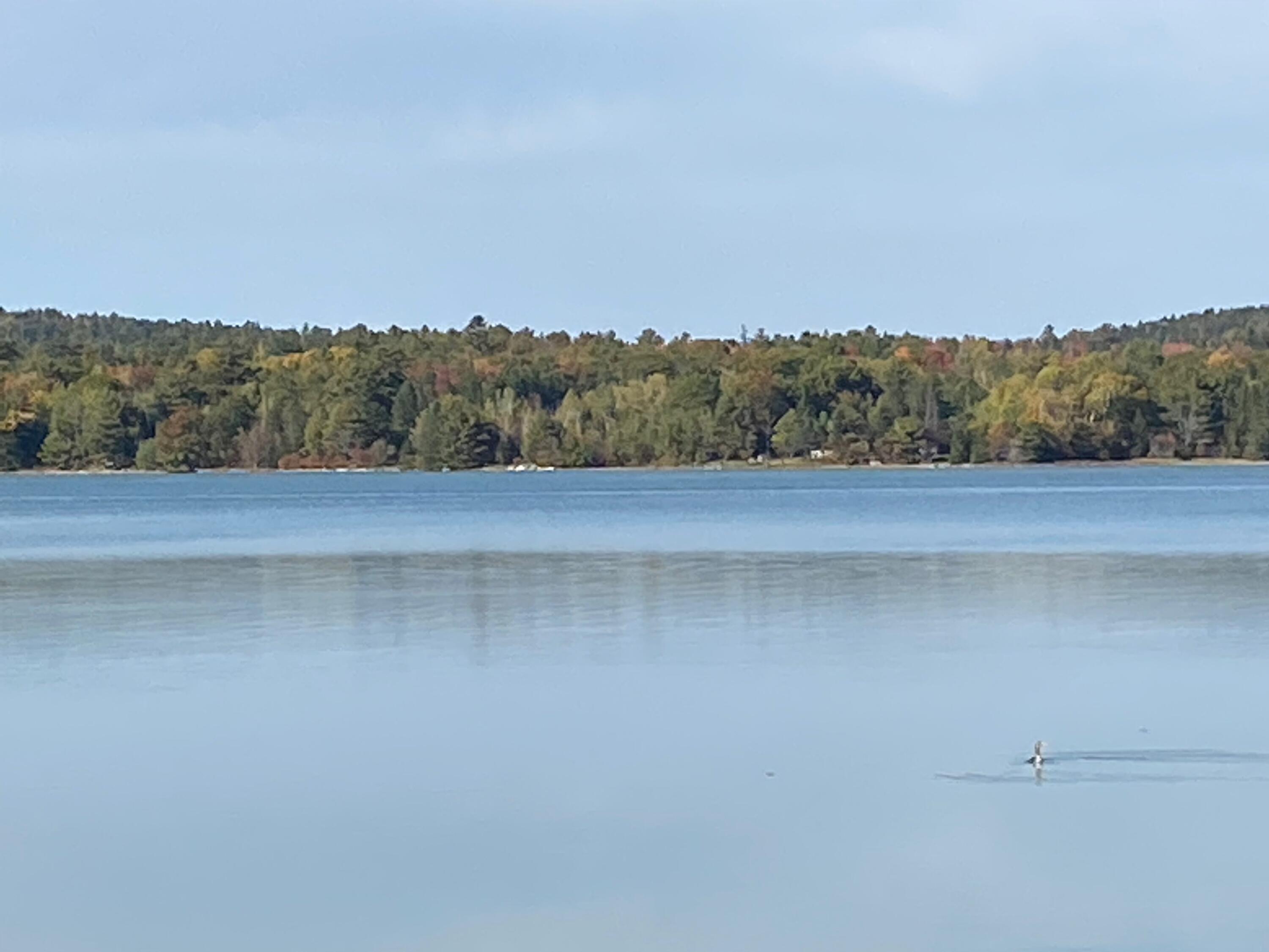 0 S Bay Road Franklin ME 04634