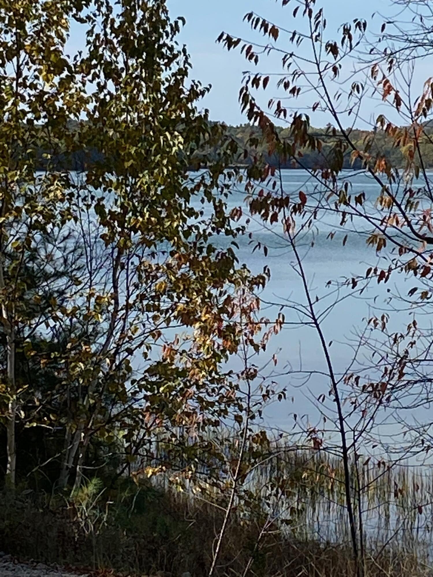 0 S Bay Road Franklin ME 04634