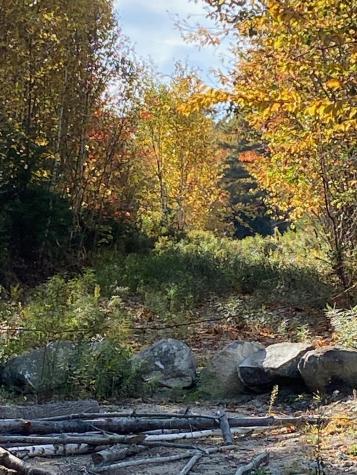 0 S Bay Road Franklin ME 04634